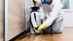 Emergency Pest Control in Pleasureville, KY