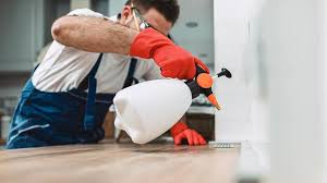 Best Pest Prevention Services  in Pleasureville, KY